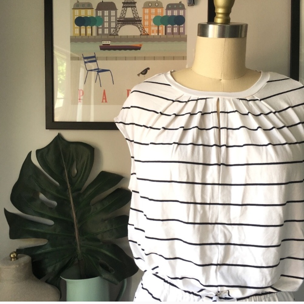 Banana Republic cinched waist striped day dress